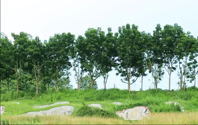 Screenshot 2023-03-29 143107 copy