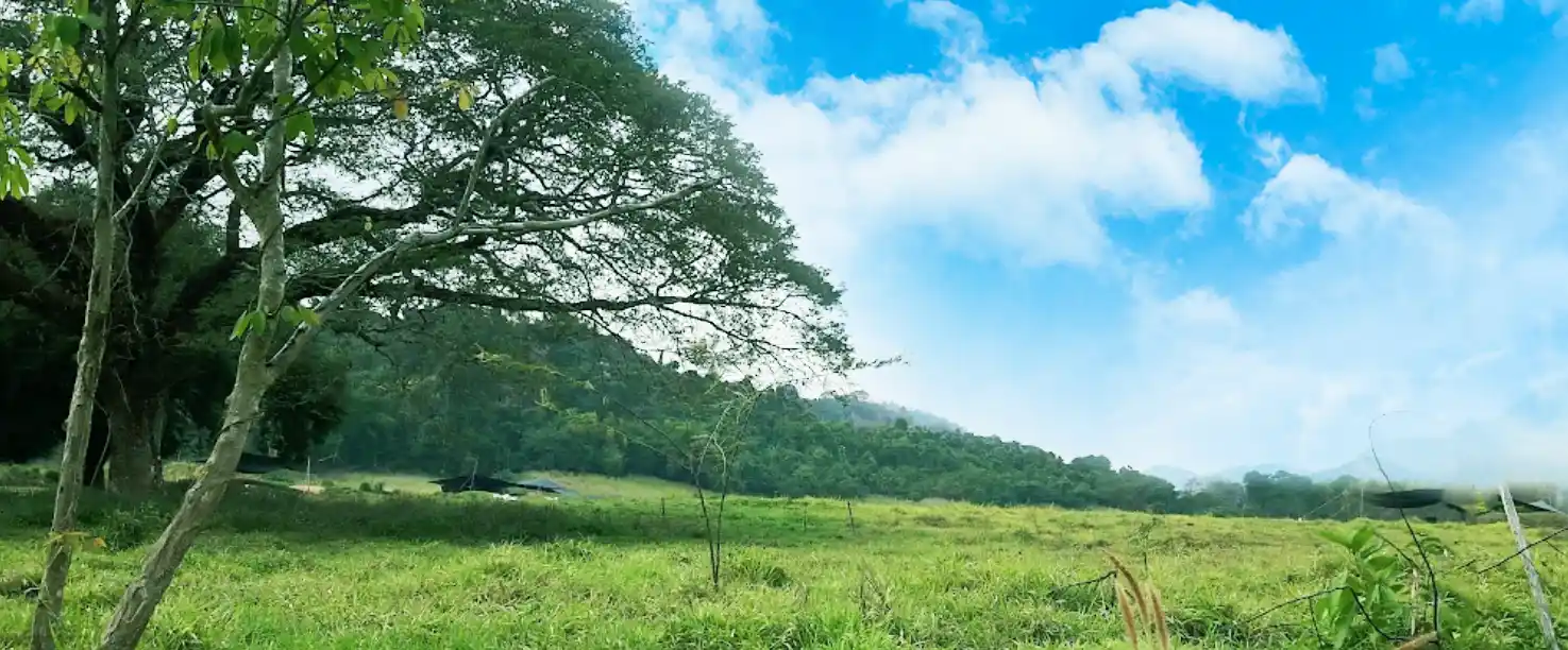 ธรรมชาติ