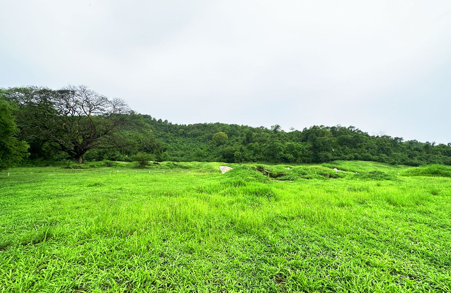 กุ่ยฮงแบนเนอร์2