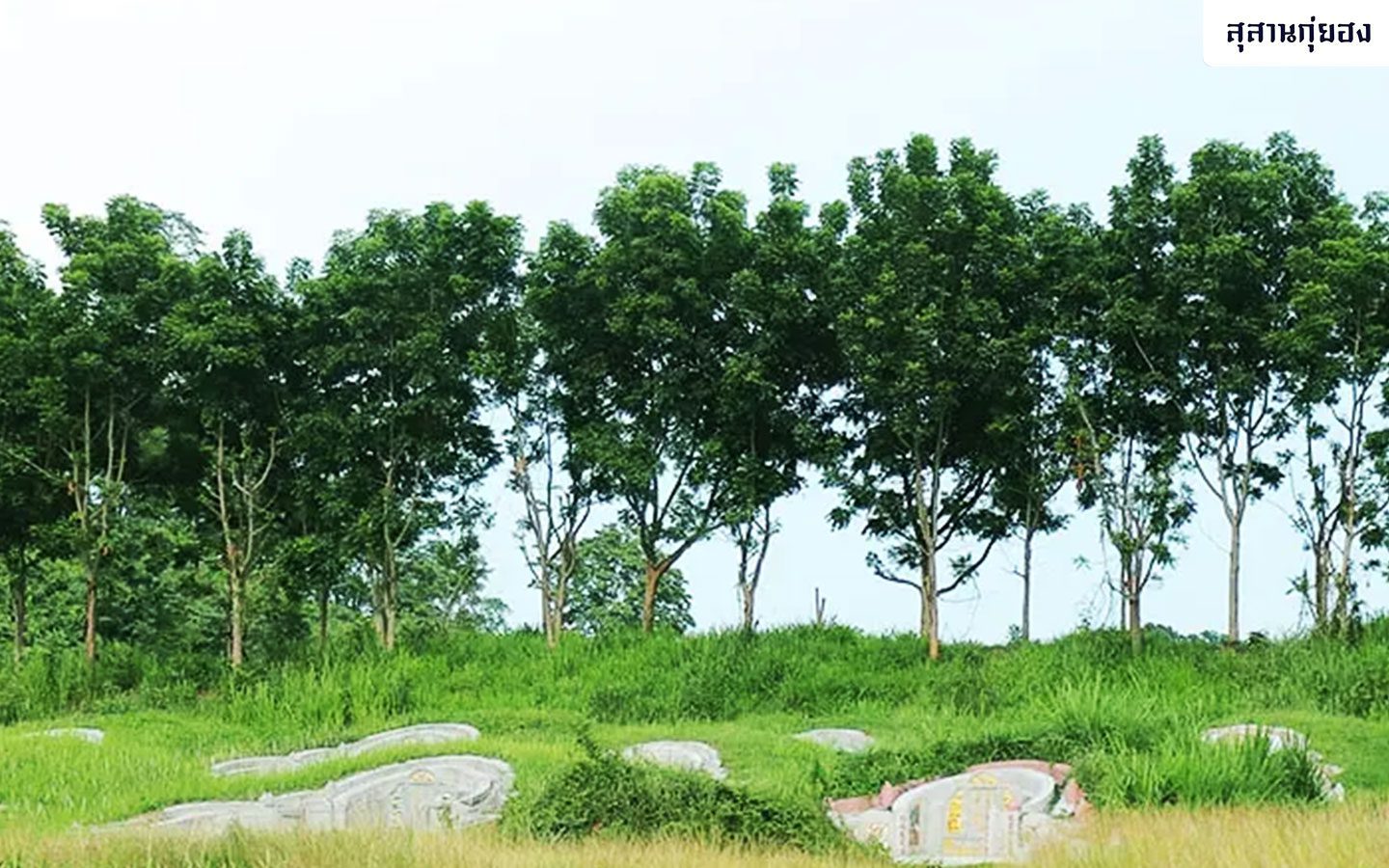 ความหมายของธาตุทั้ง-5-3